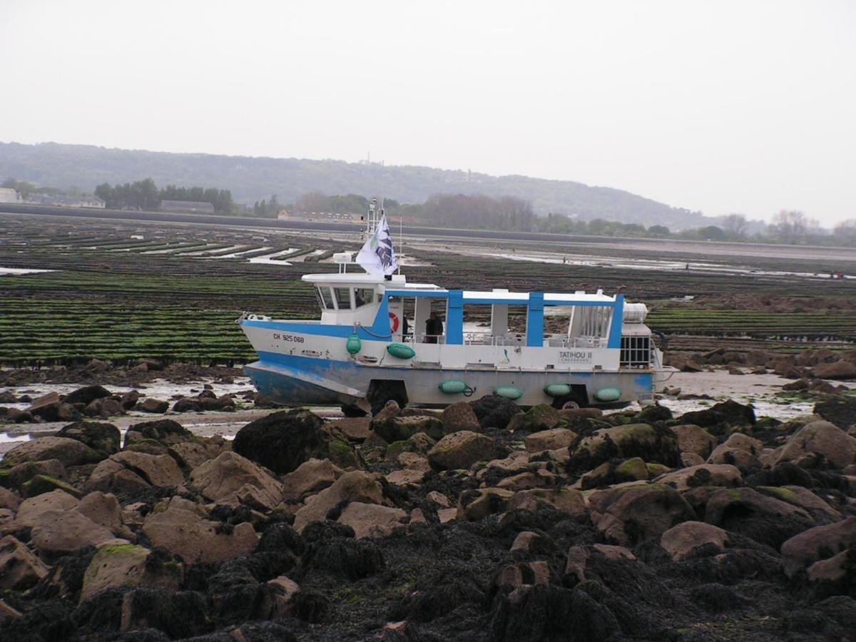 Les Cormorans Villa Saint-Vaast-la-Hougue Exteriör bild